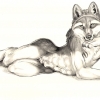 I