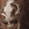 I